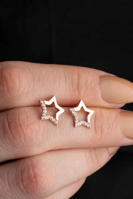 Heliophilia Silver Pendientes de Plata de Ley 925 con Baño de Oro Rosa y Circón